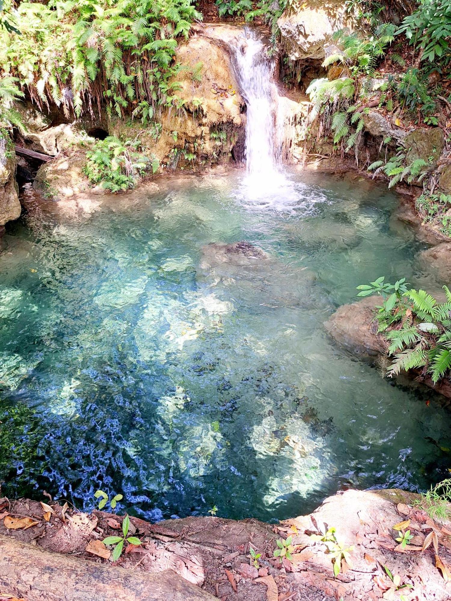 ホテル Hars Garden Sumba ワインガプ エクステリア 写真